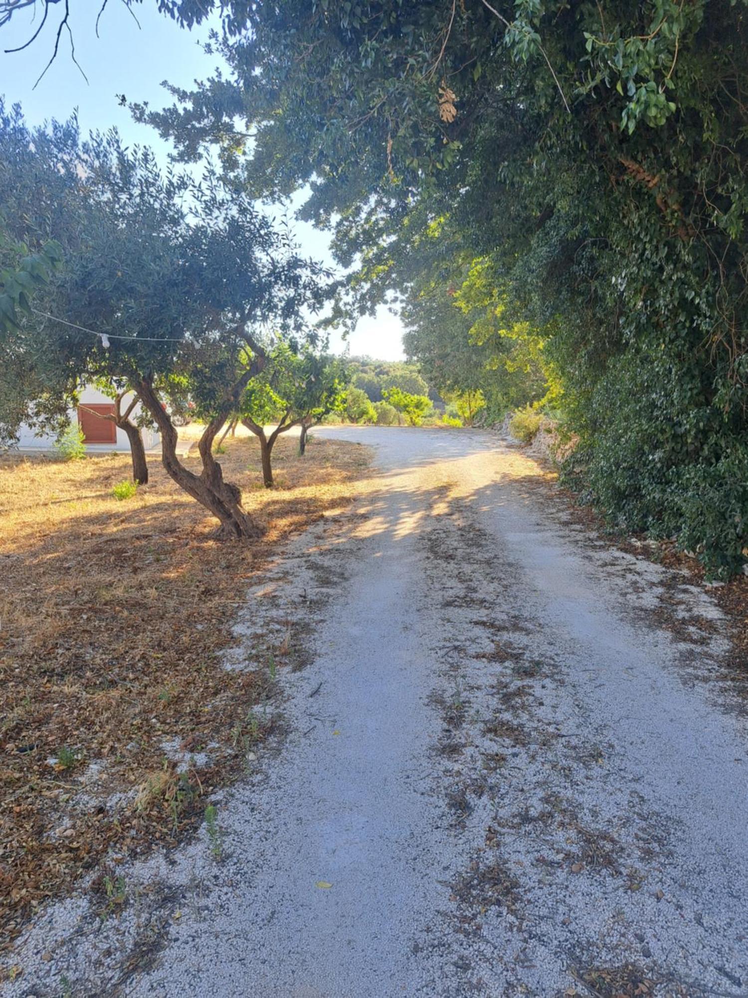 Viale Del Sole - Le Dimore Locorotondo Dış mekan fotoğraf